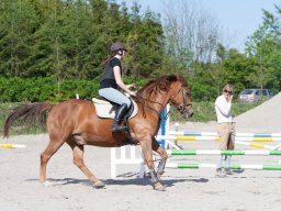 IMG_0519_web